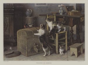 Violazione di domicilio
